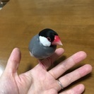 アラフォー子なし主婦です