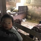 40歳ですが・・・ - 相模原市
