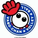9人制バレーチームメンバー募集