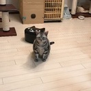 上京したて