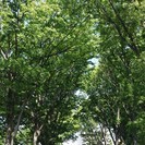 新規メンバー募集：毎週水曜日：AM10:00～PM12:00:東...