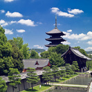 京都駅すぐそこ！東寺・五重塔のある町。東寺シェアハウス！光熱費す...
