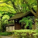 3月4日(3/4)  初心者本格トレッキングコン!鎌倉アルプスを...