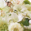 プリザーブドフラワー　1day & 体験レッスン　in 表参道の画像