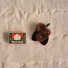 ミンクファーのコサージュ２種　卒業式と入学式にの画像