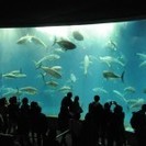 3月12日(3/12)  ペンギンさんに癒される！！20代限定!...