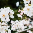 ガッツリ稼ぎたい！夜間対応スタッフ大募集！
