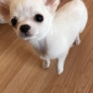 お友達になりましょぉ☆(о´∀`о)☆