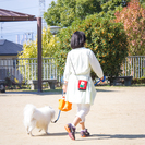 【再】GWに活躍して頂ける ペットシッターさん募集しますの画像