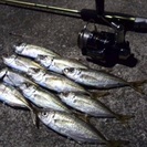 釣りサークルメンバー募集
