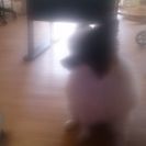 パピヨン4歳の♀です！