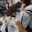 友達募集