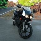 ホンダNS-1(4スト仕様)の画像