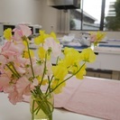 Happy コミュニティ食堂 with こども寄席 3.23(木)　＜無料＞ - イベント