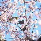 3/12 2人空きでました☆ 第4回ポートレート