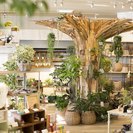 【陶芸】陶器で作る三つ足の植木鉢【インナチュラル】の画像