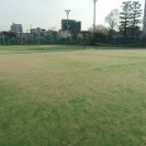 ナイター 中級 葛飾区  渋江公園でダブルステニス募集 − 東京都