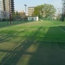 ナイター 中級 葛飾区  渋江公園でダブルステニス募集 - 葛飾区