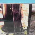 CD　ザ・バック・ペッツ　「To・The・Quick」の画像
