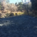 兵庫県加古川市や加古郡稲美町 辺りで、空き地  土地 購入希望