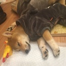 再開します！ − 愛知県