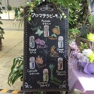 アロマタッチ認定講座&アロマ基礎三回講座の画像