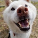 トライアルが決まりました。ありがとうございました。