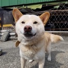 トライアルにでました。