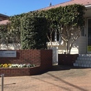 歯科助手さんになりませんか？随時見学も可能です。の画像