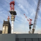 鳶職に興味ある方の画像