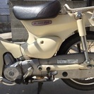 リトルカブ50ccの画像