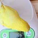 お喋り出来る女性のお友達が欲しい！