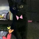 人馴ればっちり!!とっても可愛い兄妹