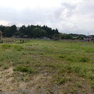 【売地】山武市椎崎　日向駅から徒歩6分　300坪　540万円