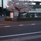 新規募集
