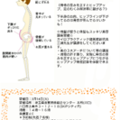 骨格(骨盤)が歪むと体型も歪む？