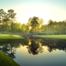 ゴルフサークルPleasure Golf club 新規メンバー募集