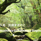 屋久島 民宿杉の子　鹿児島の屋久島にあるシェアハウスです♪１泊5000円からの格安料金 - 熊毛郡