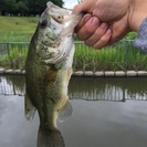 バス釣りの仲間募集 - 友達