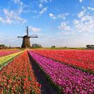 アドラー心理学実践型セミナー