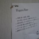 シェアハウスの概念が変わります！自由でクリエイティブ！なんでもあり！楽しい毎日を送れます - 不動産