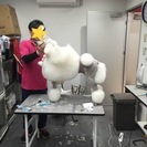 ☆.。.:*・トリマーさん募集中【津高店】☆.。.:*・