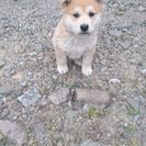 可愛がって下さる方に