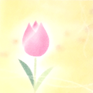 ハンドメイドワークショップ＠柏の葉T-SITE - 柏市