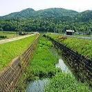 本庄市の小山川沿いをみんなで走ろう会