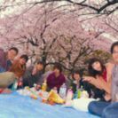 4/2 あにおたお花見オフ(人狼もやるよ)@上野恩賜公園