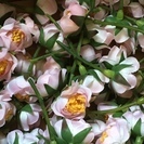 造花の小さい花（100個）ハンドメイドの素材の画像