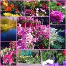 Facebook初歩から学ぶイベント作成講座