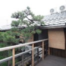 京都 今出川通りのオシャレな町家シェアハウス！礼金不要です！