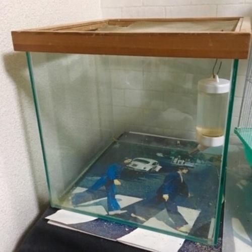 ハムスター、小動物用ガラスゲージ 水槽にも☆